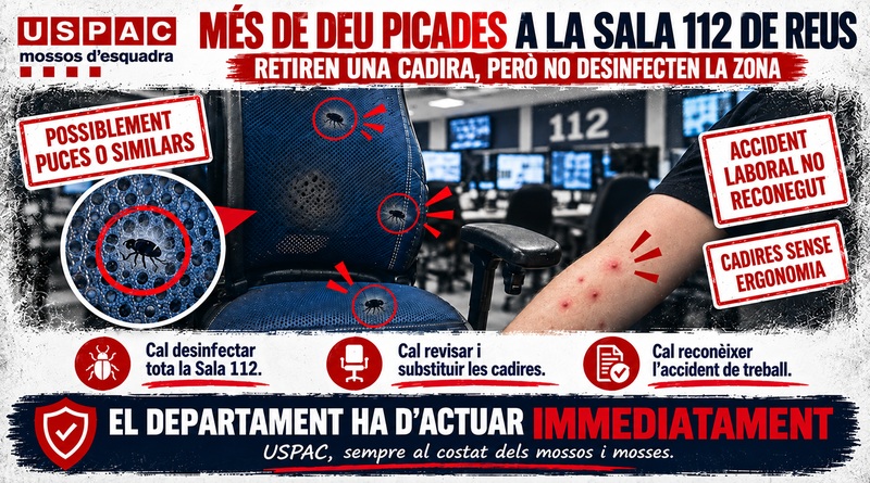 M&Eacute;S DE DEU PICADES A LA SALA 112 DE REUS I CAP DESINSECTACI&Oacute;