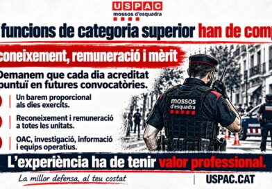 LES FUNCIONS DE CATEGORIA SUPERIOR S&rsquo;HAN DE RECON&Egrave;IXER, REMUNERAR I VALORAR COM A M&Egrave;RIT