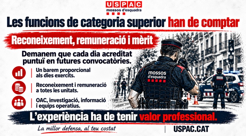 LES FUNCIONS DE CATEGORIA SUPERIOR S&rsquo;HAN DE RECON&Egrave;IXER, REMUNERAR I VALORAR COM A M&Egrave;RIT